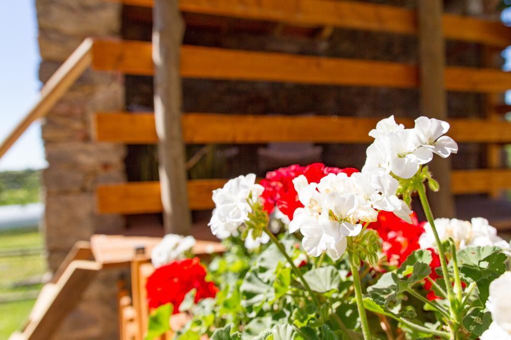 Cascinetta32 Villa Invorio Inferiore Екстериор снимка